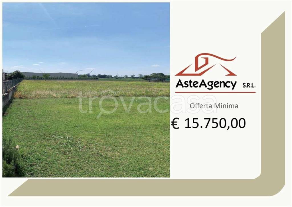 terreno agricolo in vendita a Cittadella