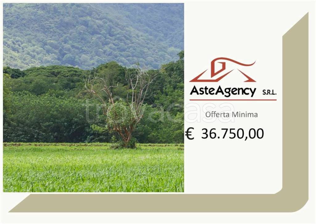 terreno agricolo in vendita a Cittadella