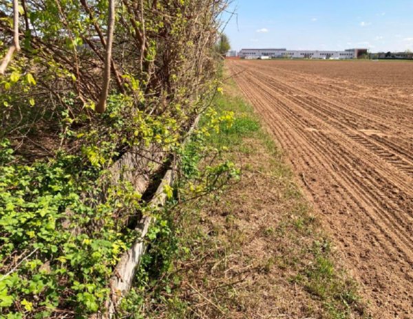 terreno edificabile in vendita a Cittadella
