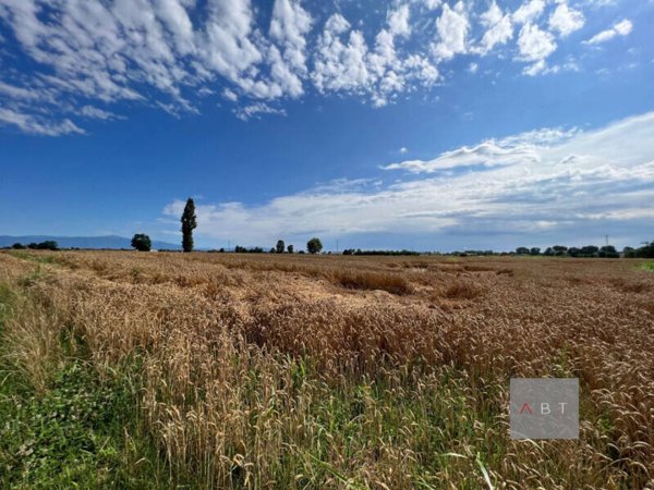 terreno in vendita a Cittadella