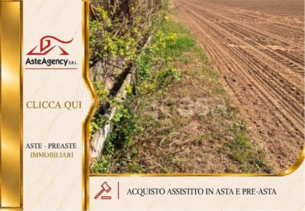 terreno in vendita a Cittadella