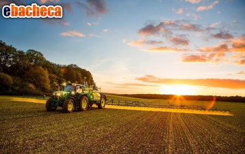 terreno agricolo in vendita a Codevigo
