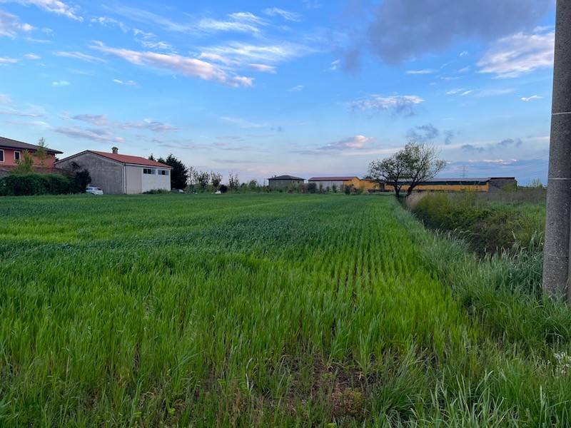 casa semindipendente in vendita a Codevigo in zona Rosara