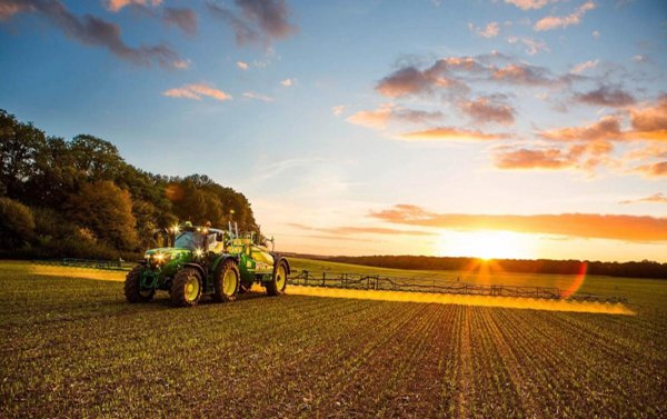 terreno agricolo in vendita a Codevigo
