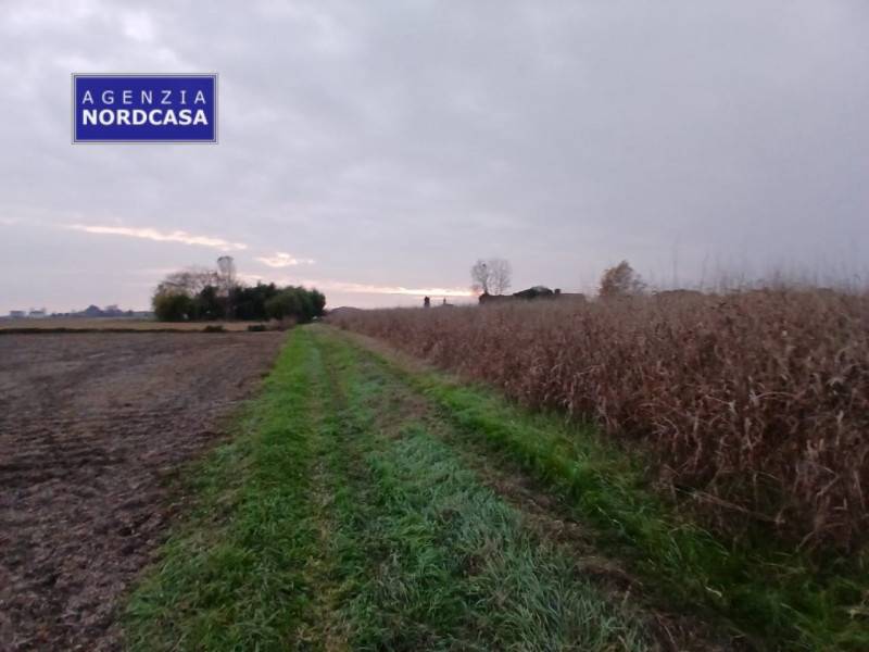 mansarda in vendita a Codevigo in zona Rosara