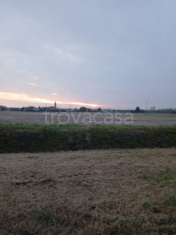 terreno edificabile in vendita a Codevigo in zona Rosara