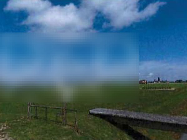 terreno agricolo in vendita a Codevigo