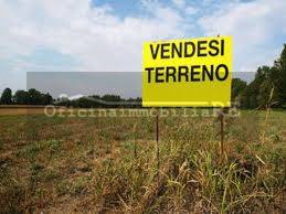 terreno agricolo in vendita a Codevigo in zona Conche