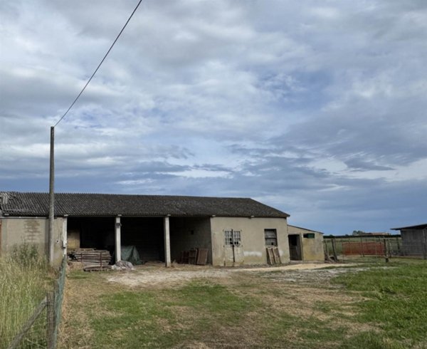 casa semindipendente in vendita a Codevigo in zona Conche