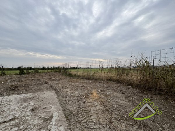 casa indipendente in vendita a Codevigo in zona Rosara