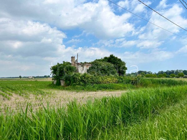 casa indipendente in vendita a Codevigo