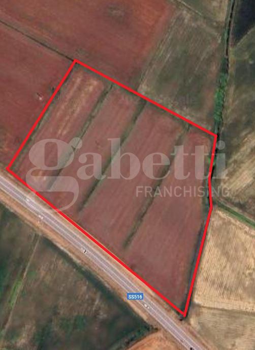 terreno agricolo in vendita a Codevigo in zona Cambroso