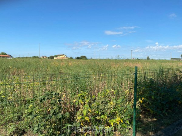 terreno agricolo in vendita a Codevigo