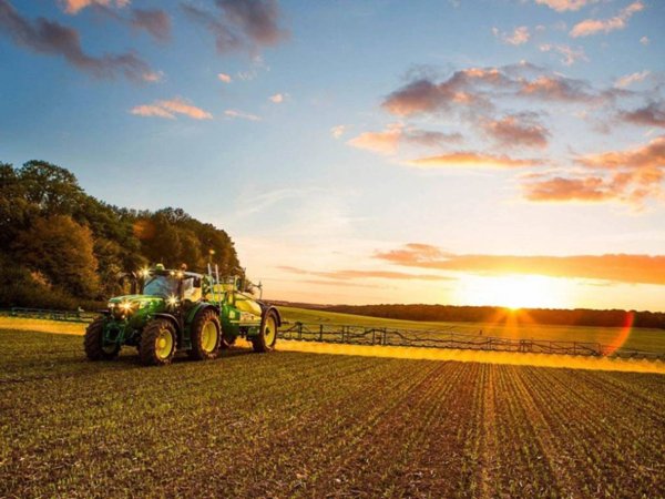 terreno agricolo in vendita a Codevigo