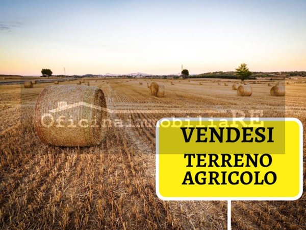 terreno agricolo in vendita a Codevigo in zona Conche