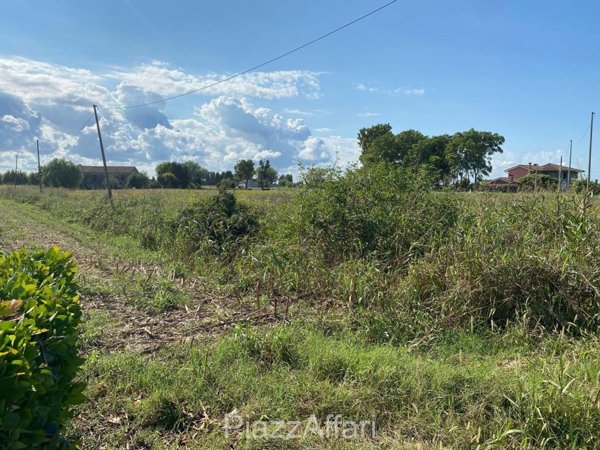 terreno agricolo in vendita a Codevigo