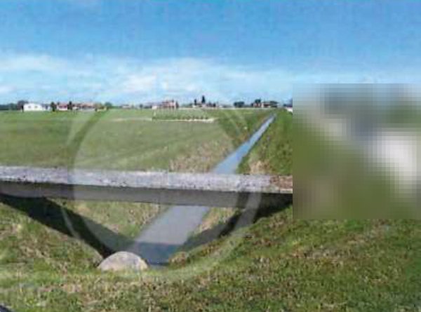 casa indipendente in vendita a Codevigo