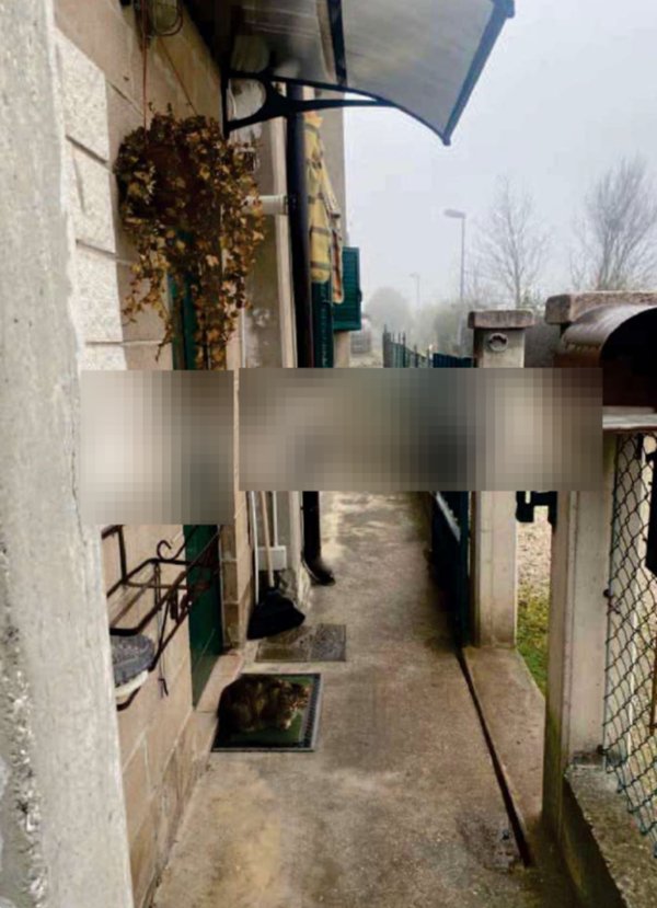 casa indipendente in vendita a Codevigo in zona Conche