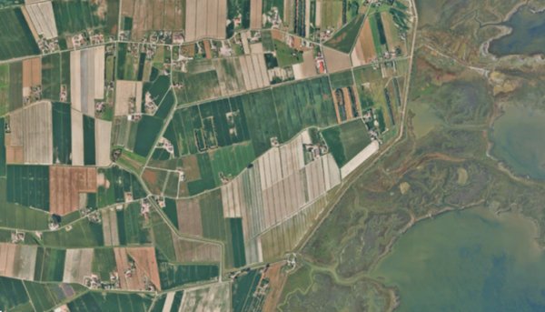 casa indipendente in vendita a Codevigo