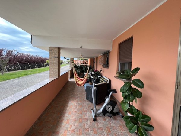 casa indipendente in vendita a Codevigo