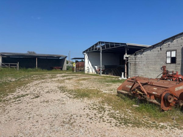 casa indipendente in vendita a Codevigo