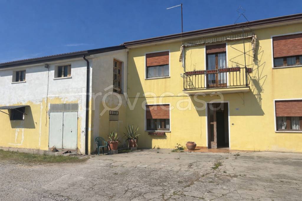 casa indipendente in vendita a Codevigo