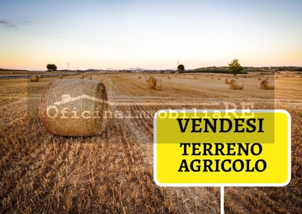 terreno agricolo in vendita a Codevigo in zona Conche