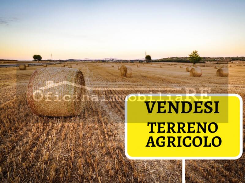 terreno agricolo in vendita a Codevigo in zona Conche