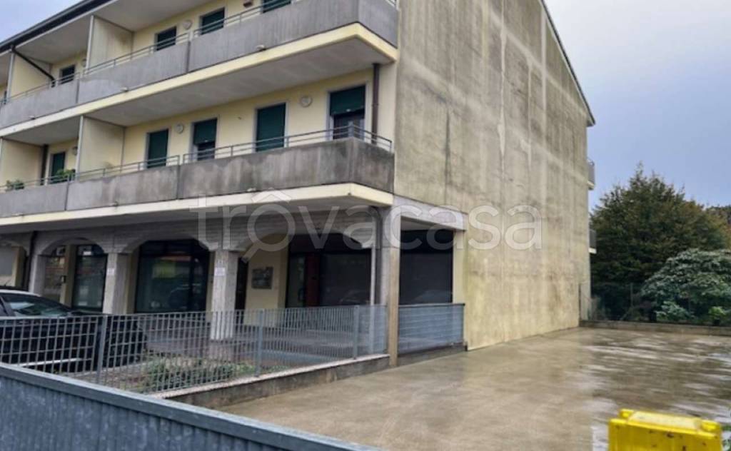 negozio in vendita a Codevigo
