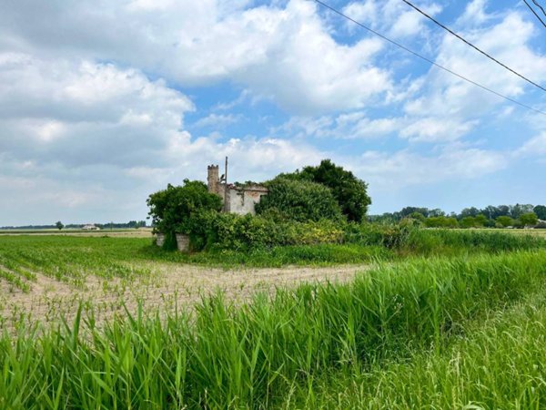terreno agricolo in vendita a Codevigo