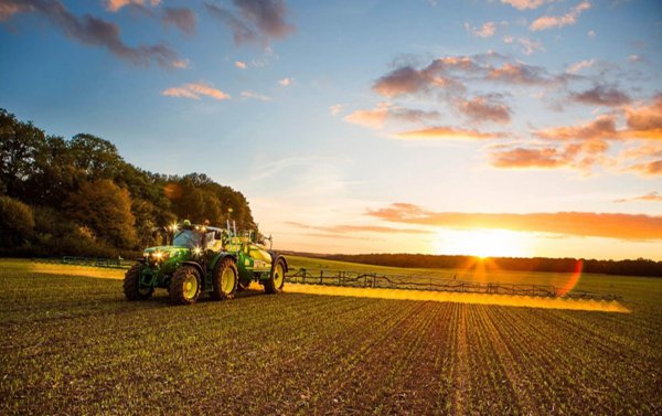 terreno agricolo in vendita a Codevigo