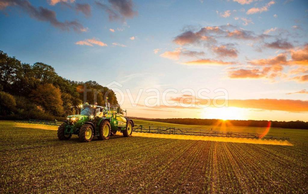 terreno agricolo in vendita a Codevigo