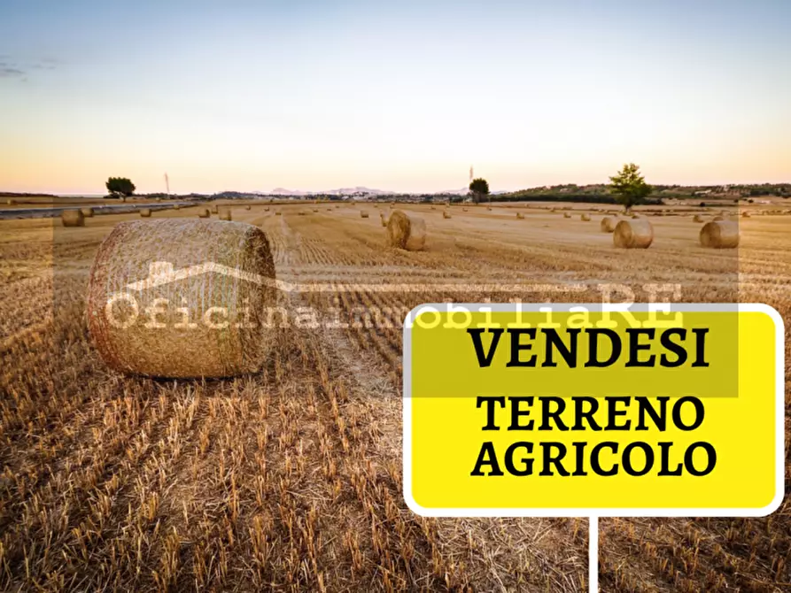 mansarda in vendita a Codevigo in zona Conche