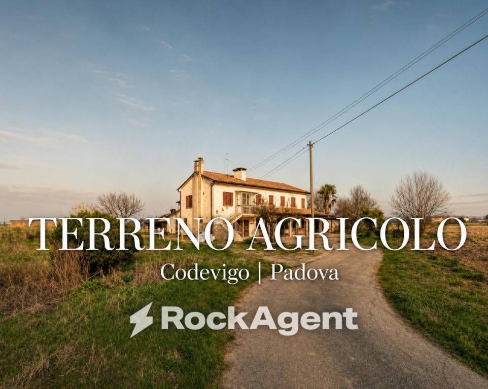 casa indipendente in vendita a Codevigo