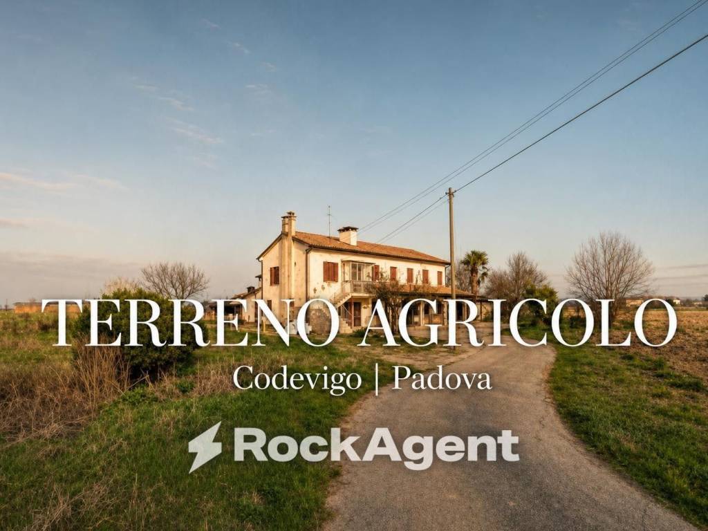 casa indipendente in vendita a Codevigo