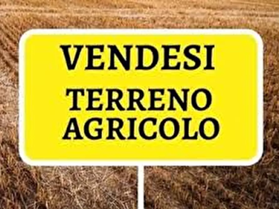 mansarda in vendita a Codevigo