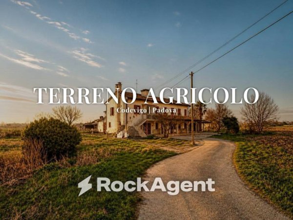 terreno agricolo in vendita a Codevigo