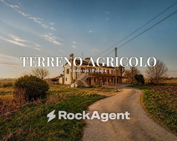 casa indipendente in vendita a Codevigo