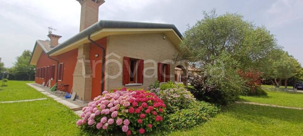 casa indipendente in vendita a Codevigo