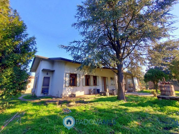 casa indipendente in vendita a Conselve
