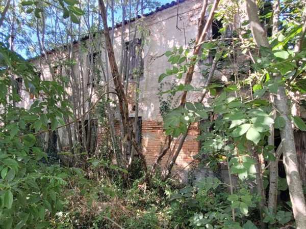 casa indipendente in vendita a Conselve