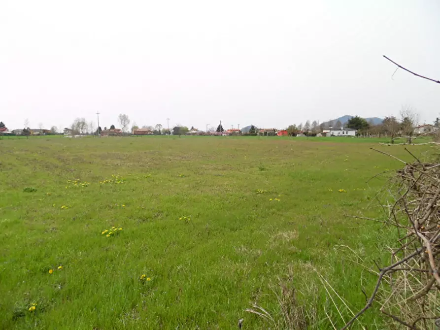 terreno edificabile in vendita a Conselve