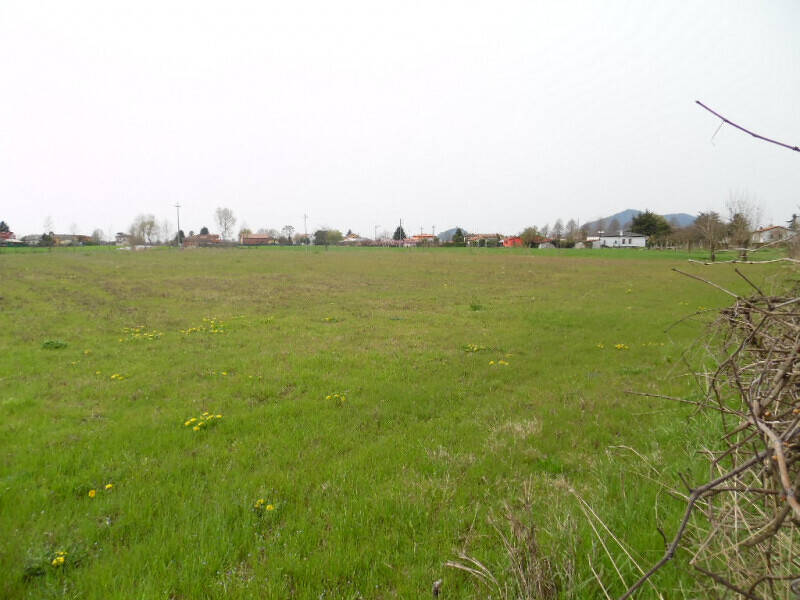 terreno edificabile in vendita a Conselve