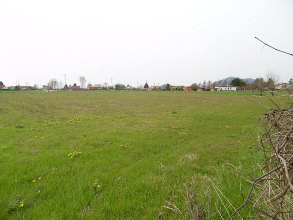 terreno edificabile in vendita a Conselve