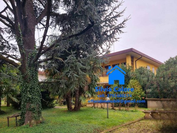 casa indipendente in vendita a Conselve