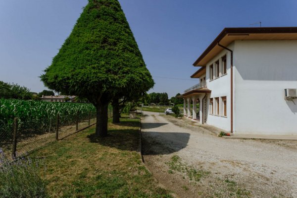 casa indipendente in vendita a Conselve