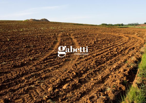 terreno agricolo in vendita a Conselve
