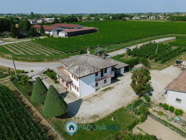 casa indipendente in vendita a Conselve