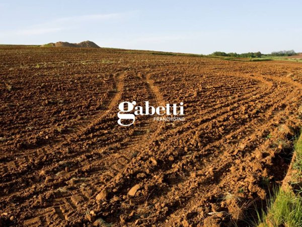 terreno agricolo in vendita a Conselve