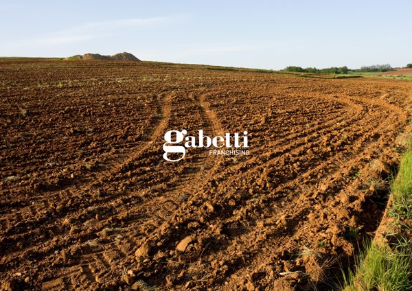 terreno agricolo in vendita a Conselve
